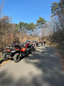Galleria Giro delle cicogne 2026