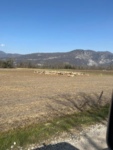 Galleria Giro delle cicogne 2026