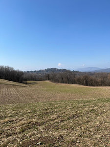 Galleria Giro delle cicogne 2026