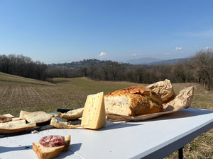 Galleria Giro delle cicogne 2026