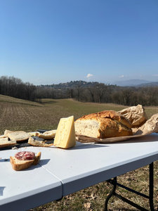 Galleria Giro delle cicogne 2026