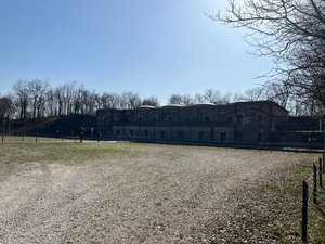 Galleria Giro delle cicogne 2026