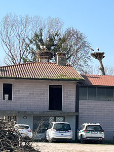 Galleria Giro delle cicogne 2026