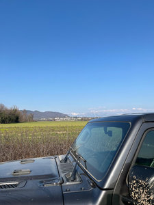 Galleria Giro delle cicogne 2026