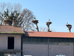 Galleria Giro delle cicogne 2026