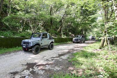 Galleria Gran tour pedemontana 2025