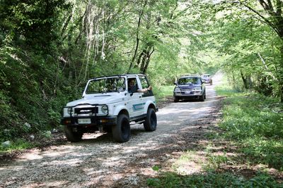 Galleria Gran tour pedemontana 2025