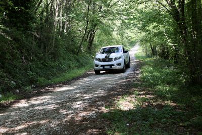 Galleria Gran tour pedemontana 2025