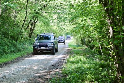 Galleria Gran tour pedemontana 2025