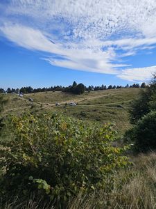 Galleria La 12 ore 4x4 2025