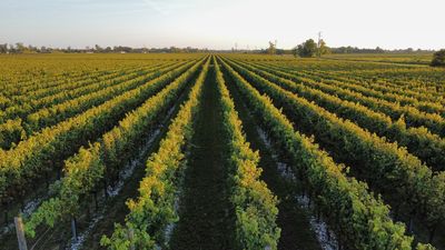 Galleria La 12 ore 4x4 2025