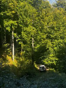 Galleria La 12 ore 4x4 2025