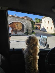 Galleria La 12 ore 4x4 2025