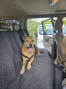 Galleria La 12 ore 4x4 2025