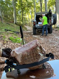 Galleria La 12 ore 4x4 2025