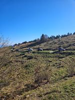 Galleria Tour forcella pala barzana monte jouf 4x4 10 novembre 2024